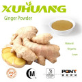 Ginger powder (water soluble )/ginger extract powder/ginger powder